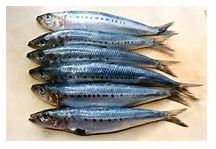 /Images/Products/daf/daf-fish--sardines1kg.jpg