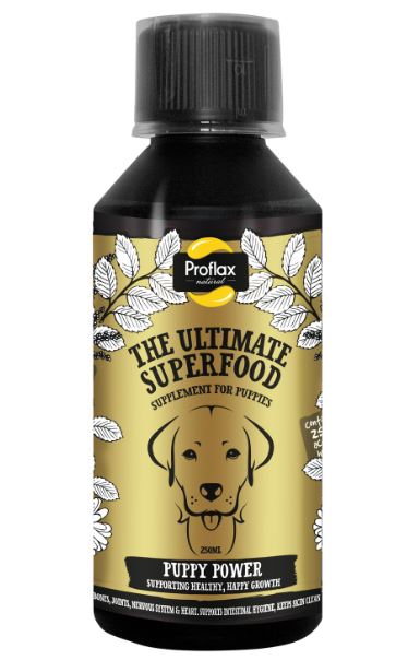 /Images/Products/proflax/proflax-proflax--puppypower250ml.jpg