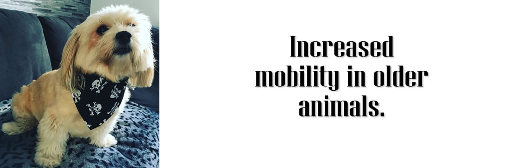 Increased mobility in older animals