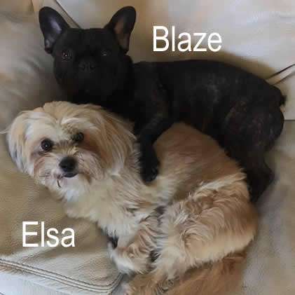 Blaze and Elsa